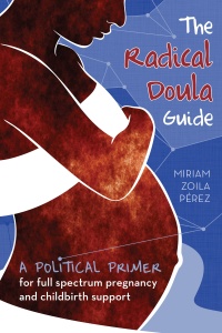 Cover for The Radical Doula Guide